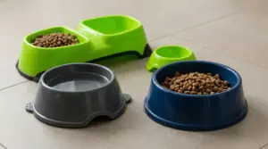 Ciotole di plastica per animali domestici con crocchette e acqua su pavimento chiaro