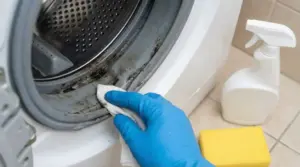 Persona pulisce la guarnizione interna di una lavatrice con muffa visibile